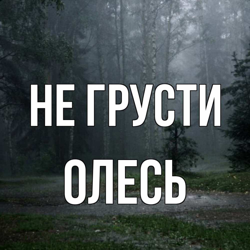 Открытка на каждый день с именем, Олесь Не грусти осень Прикольная открытка с пожеланием онлайн скачать бесплатно 