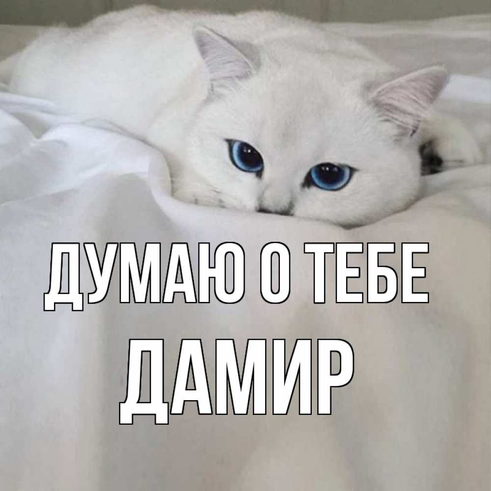 Открытки думаю о тебе скучаю по тебе, картинки для срисовки