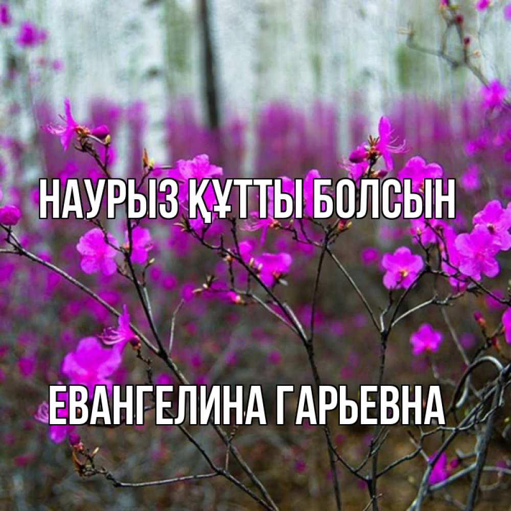Открытка с именем, Евангелина Гарьевна, Наурыз құтты болсын