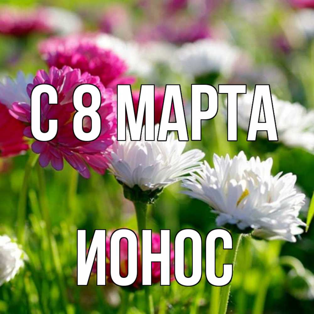 Картинка С 8 МАРТА, Ионос