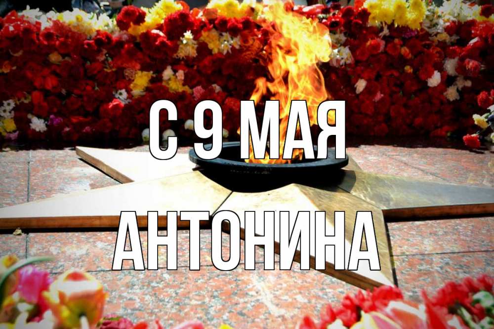 Открытка на каждый день с именем, Антонина С 9 мая 9 мая Прикольная открытка с пожеланием онлайн скачать бесплатно 