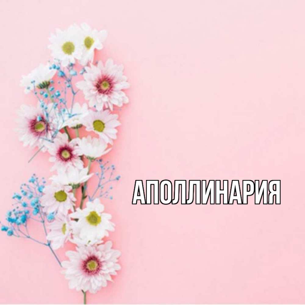 Открытка на каждый день с именем, Аполлинария Главная цветы с подписью Прикольная открытка с пожеланием онлайн скачать бесплатно 