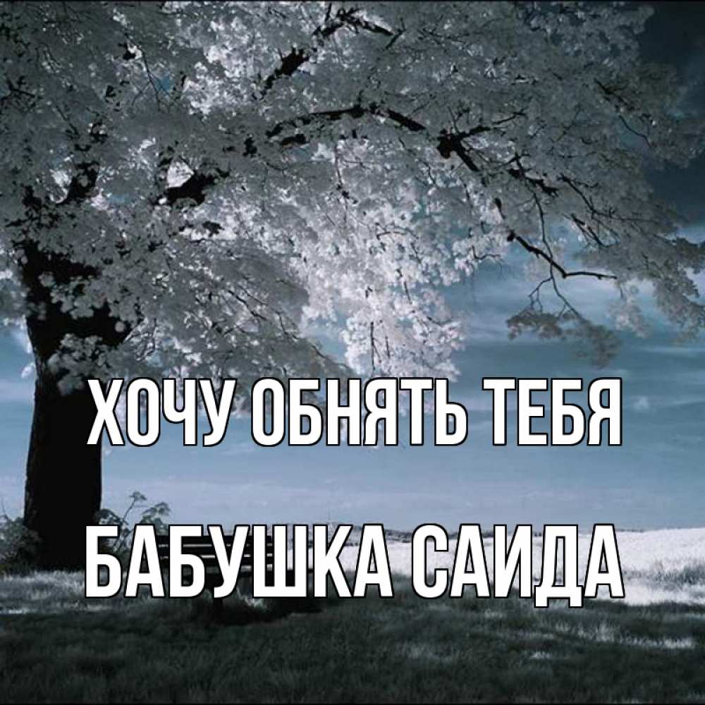 Открытка на каждый день с именем, Бабушка-Саида Хочу обнять тебя дерево Прикольная открытка с пожеланием онлайн скачать бесплатно 