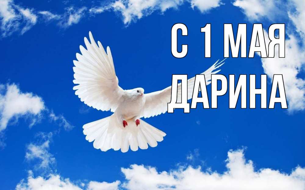 Открытка на каждый день с именем, Дарина С 1 мая С 1 мая 1 Прикольная открытка с пожеланием онлайн скачать бесплатно 