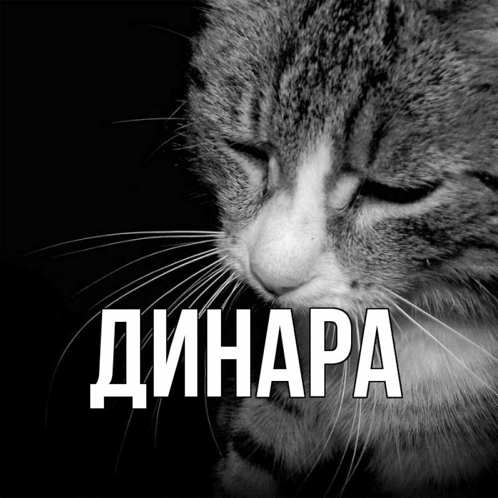 Открытка на каждый день с именем, Динара Главная мне скучно Прикольная открытка с пожеланием онлайн скачать бесплатно 