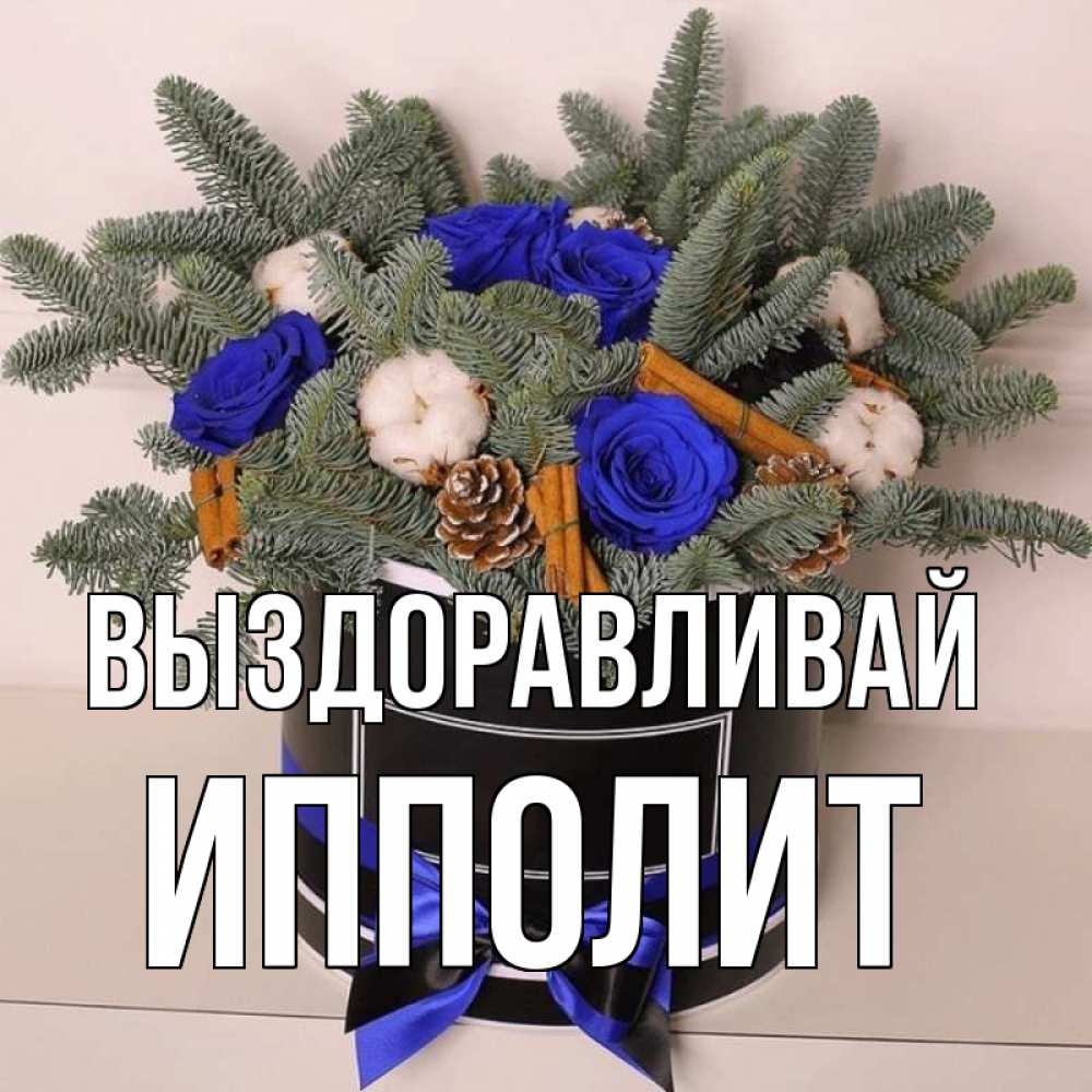 Открытка на каждый день с именем, Ипполит Выздоравливай короче кто то загрузил эти шишки Прикольная открытка с пожеланием онлайн скачать бесплатно 