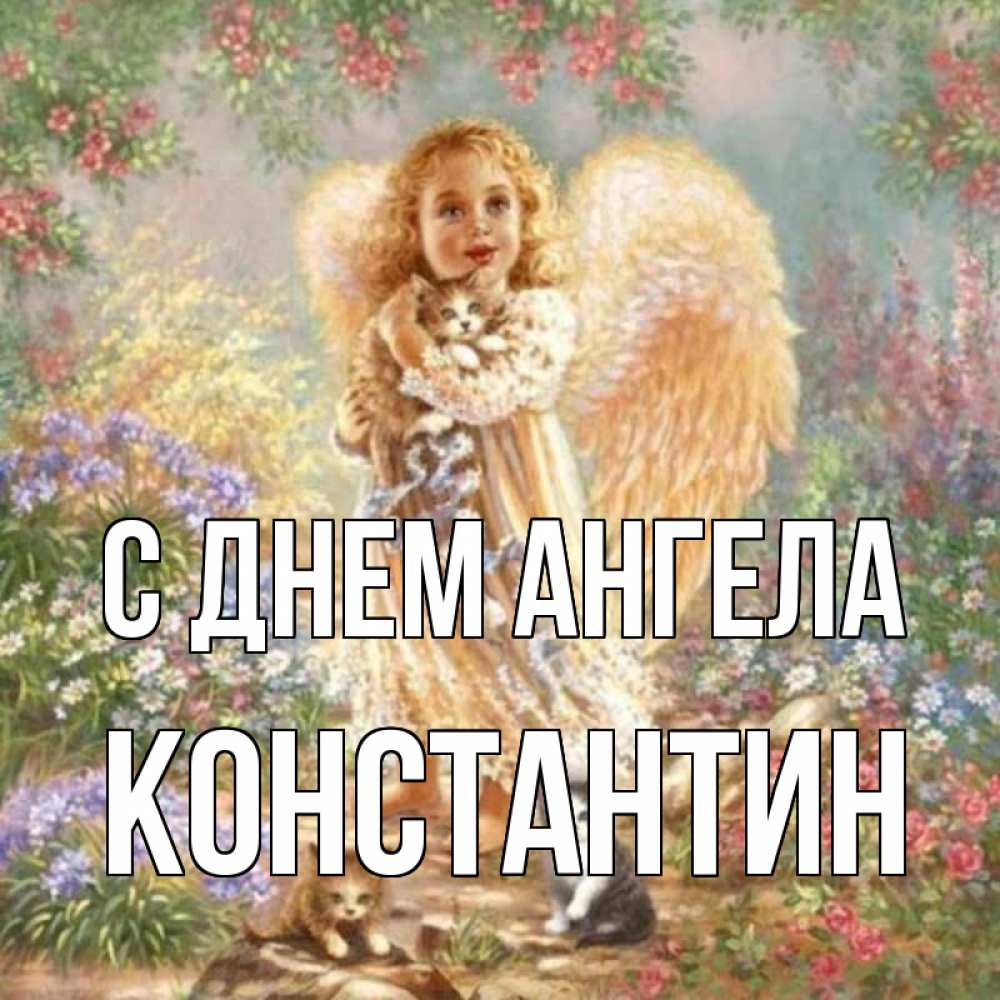 Открытка на каждый день с именем, Константин С днем ангела держит котенка Прикольная открытка с пожеланием онлайн скачать бесплатно 