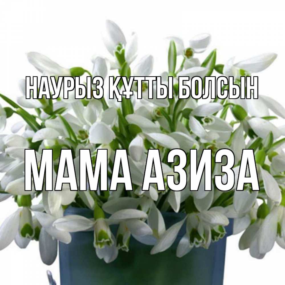Открытка на каждый день с именем, Мама-Азиза Наурыз құтты болсын цветы к наурызу Прикольная открытка с пожеланием онлайн скачать бесплатно 