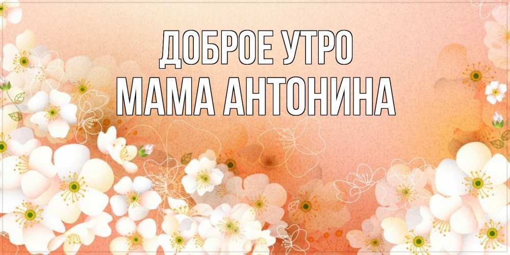 Открытка на каждый день с именем, Мама-Антонина Доброе утро доброе утро с цветами Прикольная открытка с пожеланием онлайн скачать бесплатно 