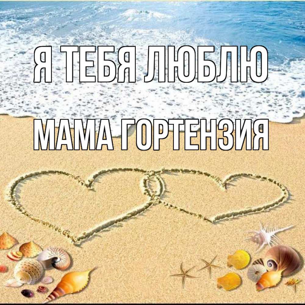 Открытка на каждый день с именем, Мама-Гортензия Я тебя люблю ракушки Прикольная открытка с пожеланием онлайн скачать бесплатно 