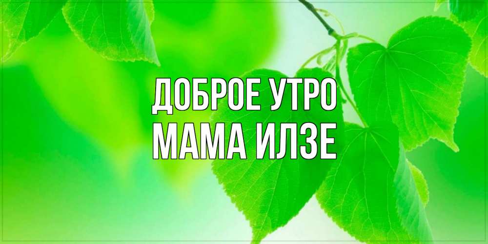 Открытка на каждый день с именем, Мама-Илзе Доброе утро доброе утро с березовыми листьями Прикольная открытка с пожеланием онлайн скачать бесплатно 