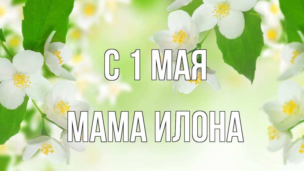 Открытка на каждый день с именем, Мама-Илона С 1 мая С 1 мая Прикольная открытка с пожеланием онлайн скачать бесплатно 
