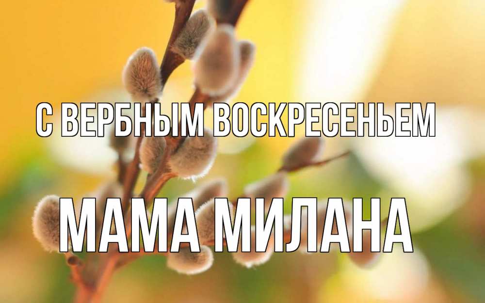 Открытка на каждый день с именем, Мама-Милана С вербным воскресеньем верба Прикольная открытка с пожеланием онлайн скачать бесплатно 