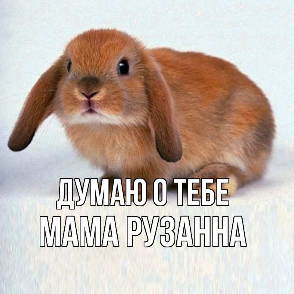 Открытка на каждый день с именем, Мама-Рузанна Думаю о тебе кроль коричневый Прикольная открытка с пожеланием онлайн скачать бесплатно 