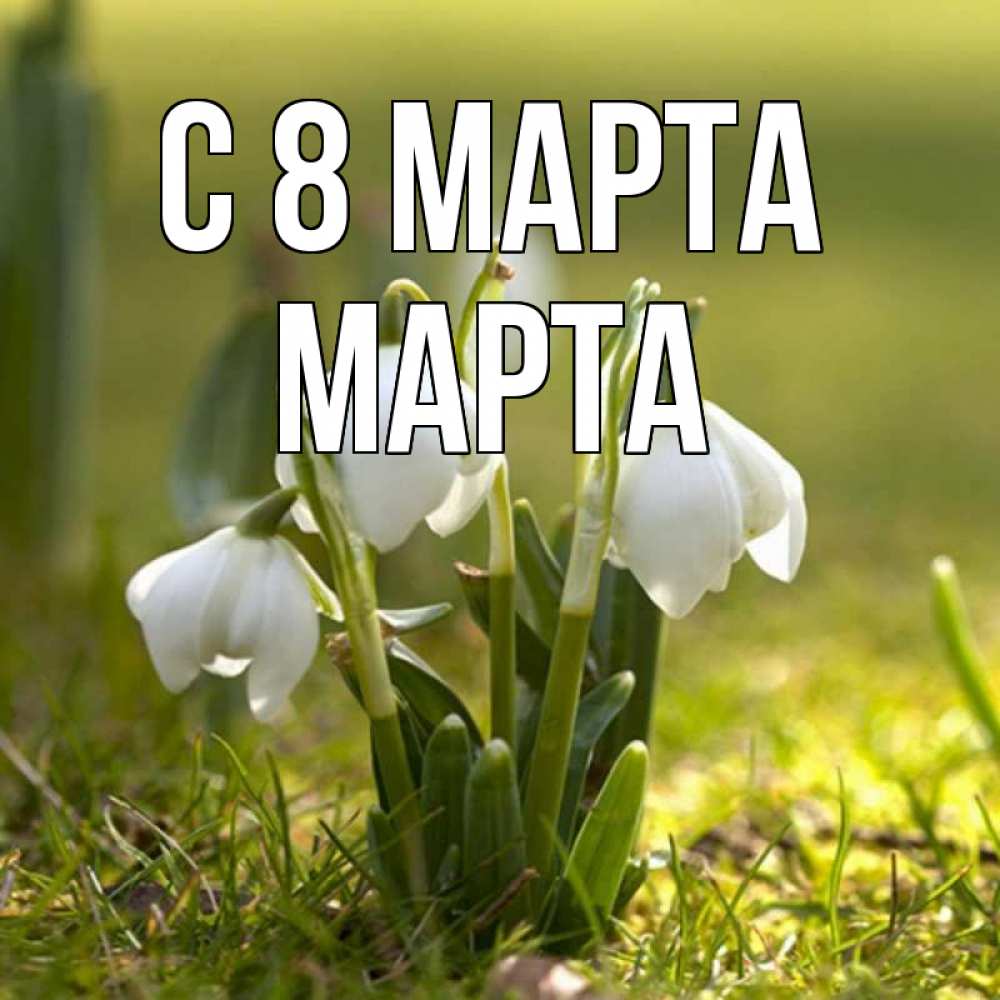 Открытка на каждый день с именем, Марта С 8 марта ранние цветы 2 Прикольная открытка с пожеланием онлайн скачать бесплатно 