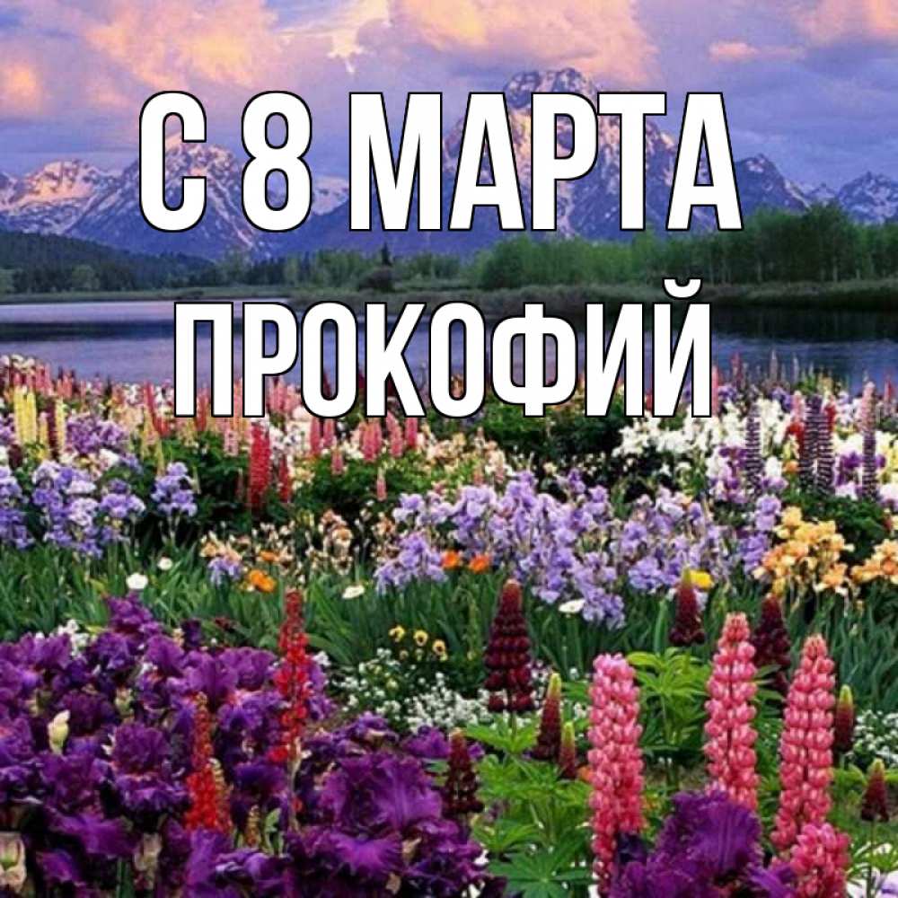 Открытка на каждый день с именем, Прокофий С 8 МАРТА международный женский день Прикольная открытка с пожеланием онлайн скачать бесплатно 