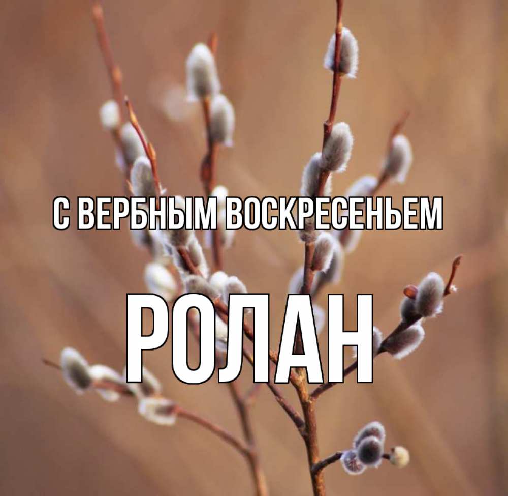Открытка на каждый день с именем, Ролан С вербным воскресеньем верба Прикольная открытка с пожеланием онлайн скачать бесплатно 