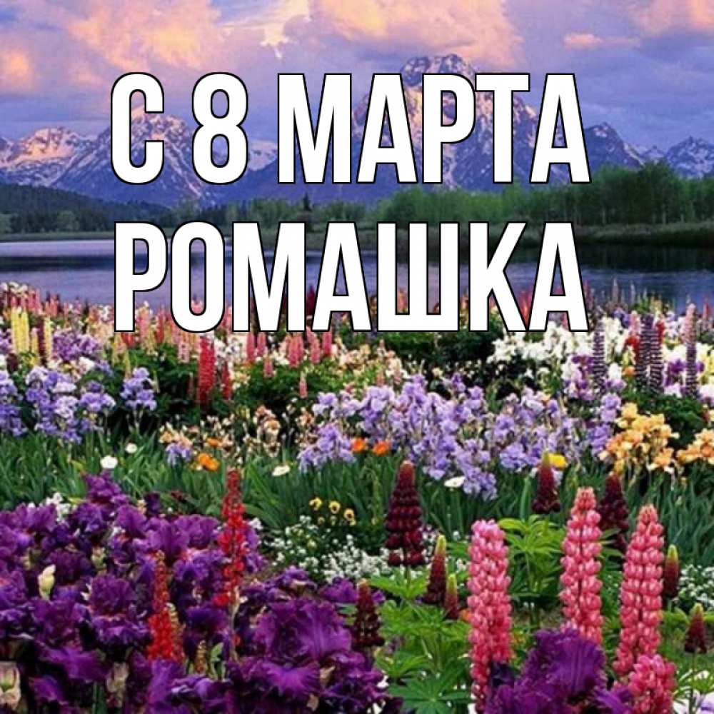 Открытка на каждый день с именем, Ромашка С 8 марта международный женский день Прикольная открытка с пожеланием онлайн скачать бесплатно 