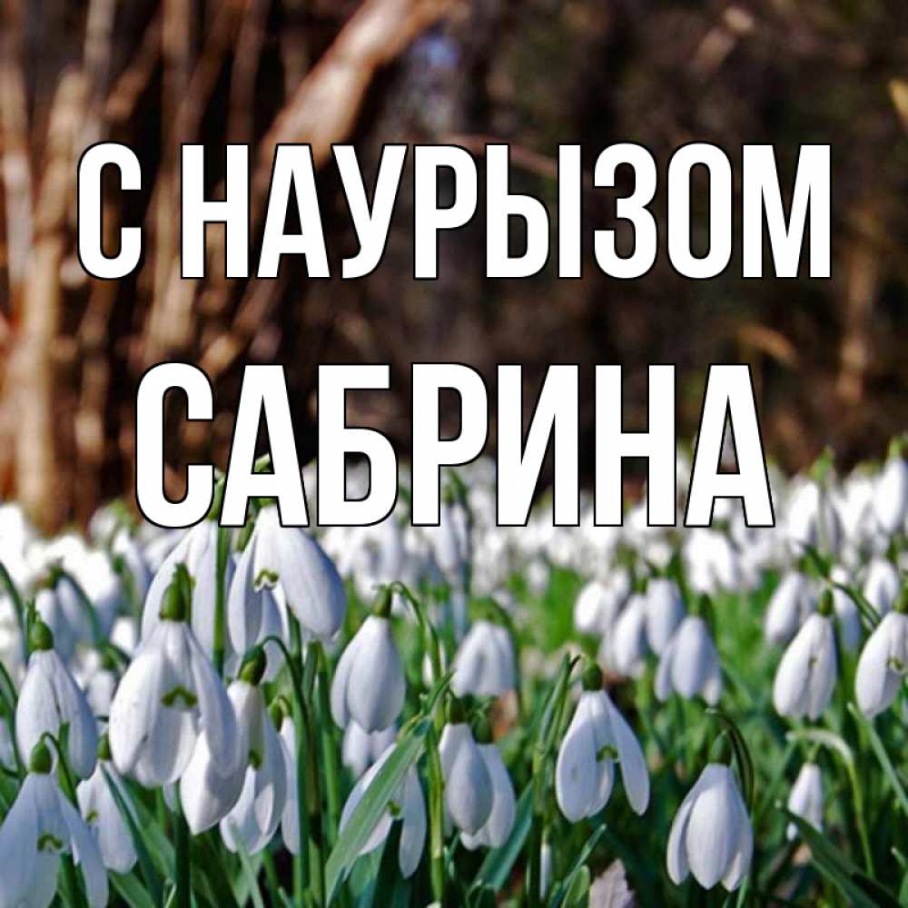 Открытка на каждый день с именем, Сабрина С наурызом с подснежниками 1 Прикольная открытка с пожеланием онлайн скачать бесплатно 