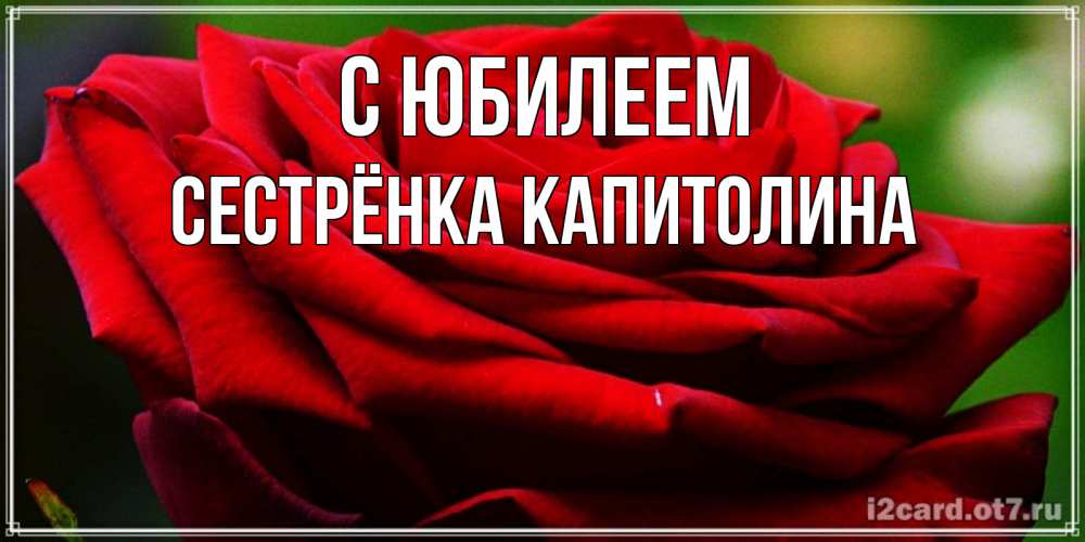 Открытка на каждый день с именем, Сестрёнка-Капитолина С юбилеем розочка очень красивая Прикольная открытка с пожеланием онлайн скачать бесплатно 