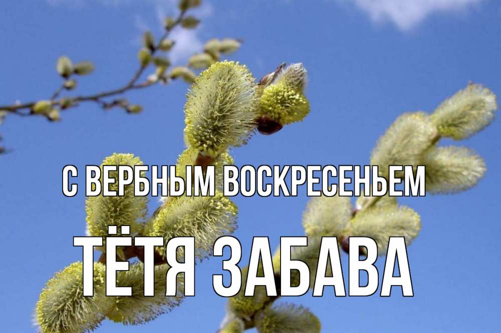 Открытка на каждый день с именем, Тётя-Забава С вербным воскресеньем верба Прикольная открытка с пожеланием онлайн скачать бесплатно 