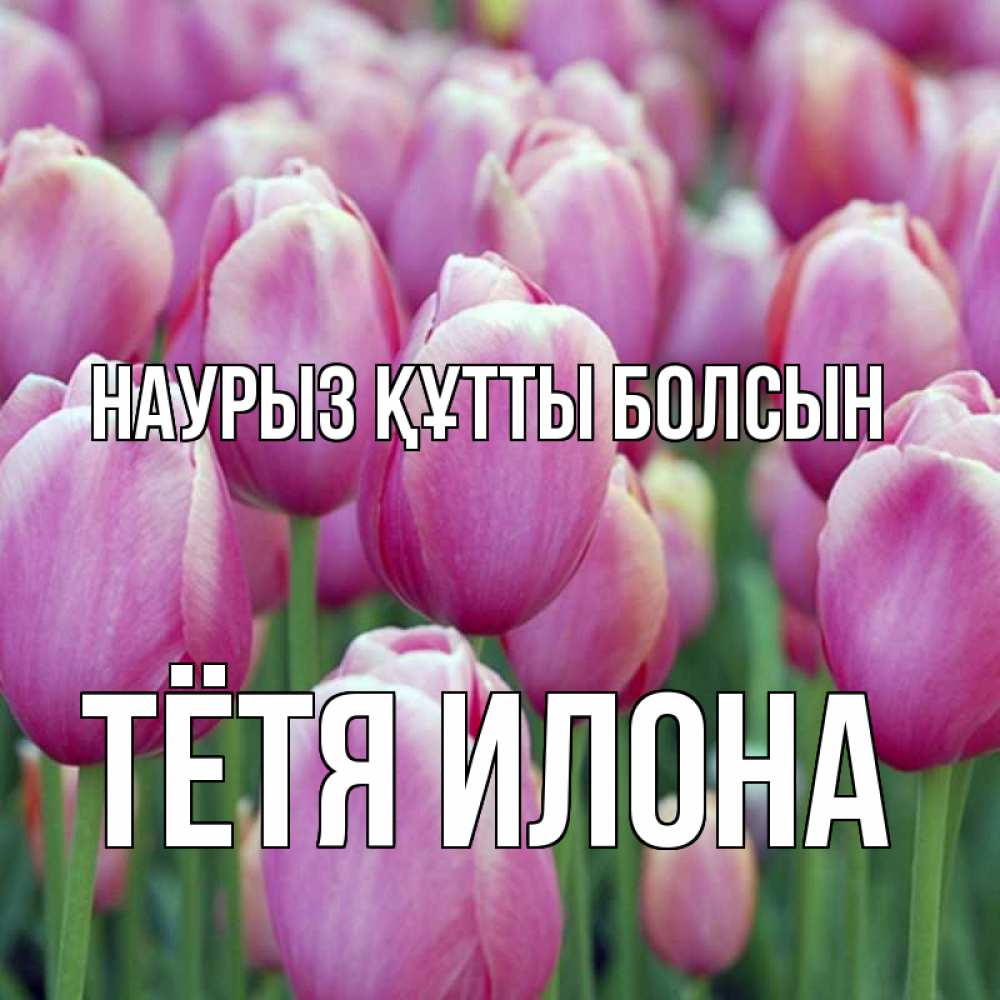 Открытка на каждый день с именем, Тётя-Илона Наурыз құтты болсын на наурыз  день 3 Прикольная открытка с пожеланием онлайн скачать бесплатно 