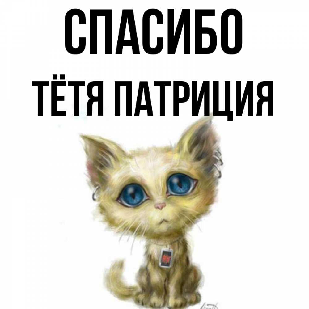 Открытка на каждый день с именем, Тётя-Патриция Спасибо рисованный кот благодарит вас Прикольная открытка с пожеланием онлайн скачать бесплатно 