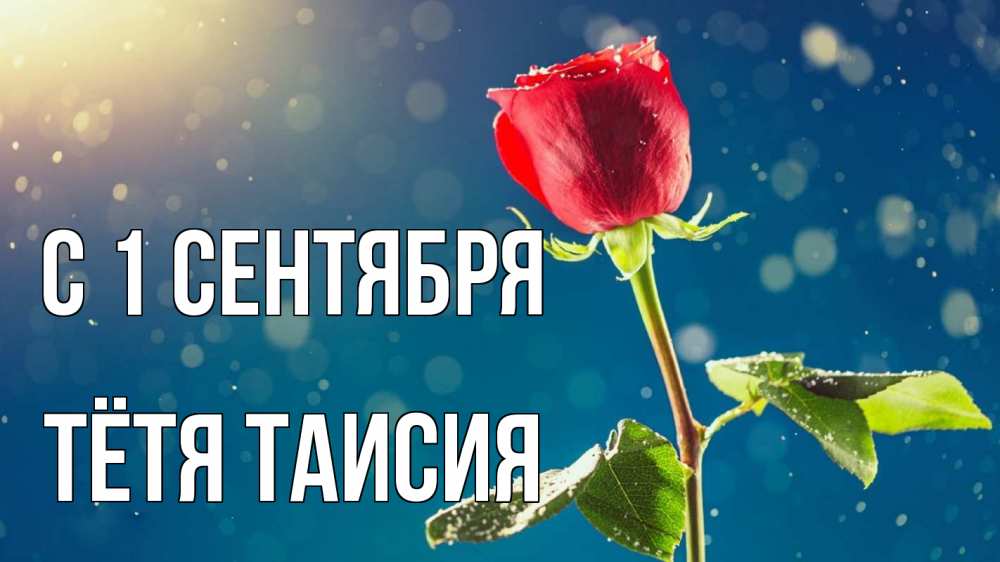 Открытка на каждый день с именем, Тётя-Таисия С 1 сентября с днем знаний Прикольная открытка с пожеланием онлайн скачать бесплатно 