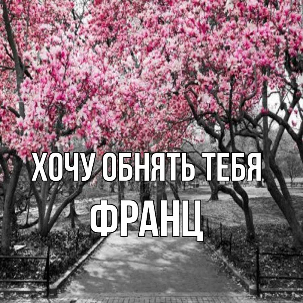 Открытка на каждый день с именем, Франц Хочу обнять тебя обработанное фото Прикольная открытка с пожеланием онлайн скачать бесплатно 