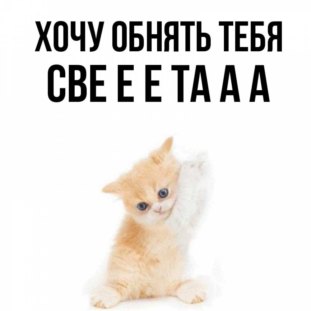 Открытка хочу обнять и поцеловать
