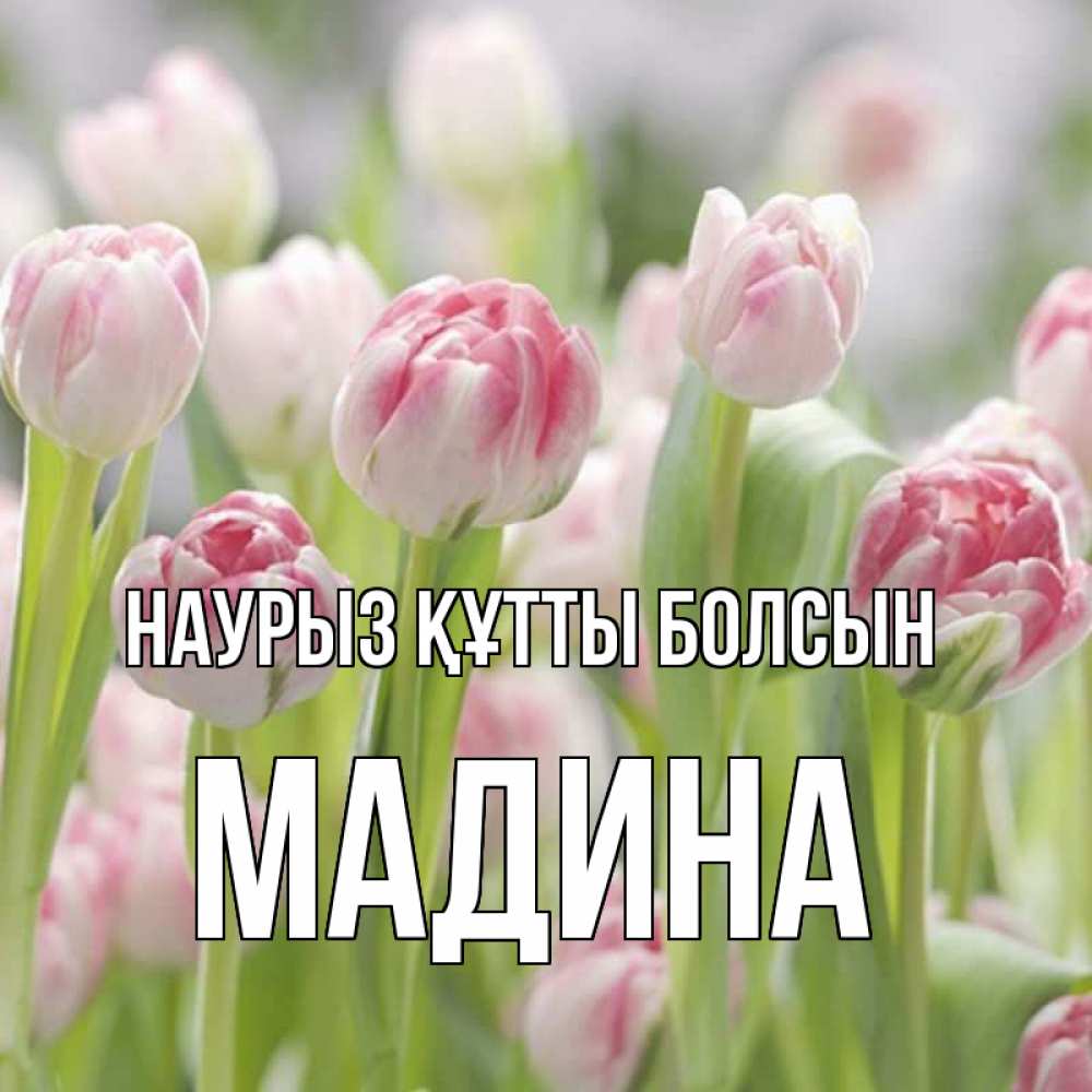 Открытка на каждый день с именем, Мадина Наурыз құтты болсын цветы Прикольная открытка с пожеланием онлайн скачать бесплатно 