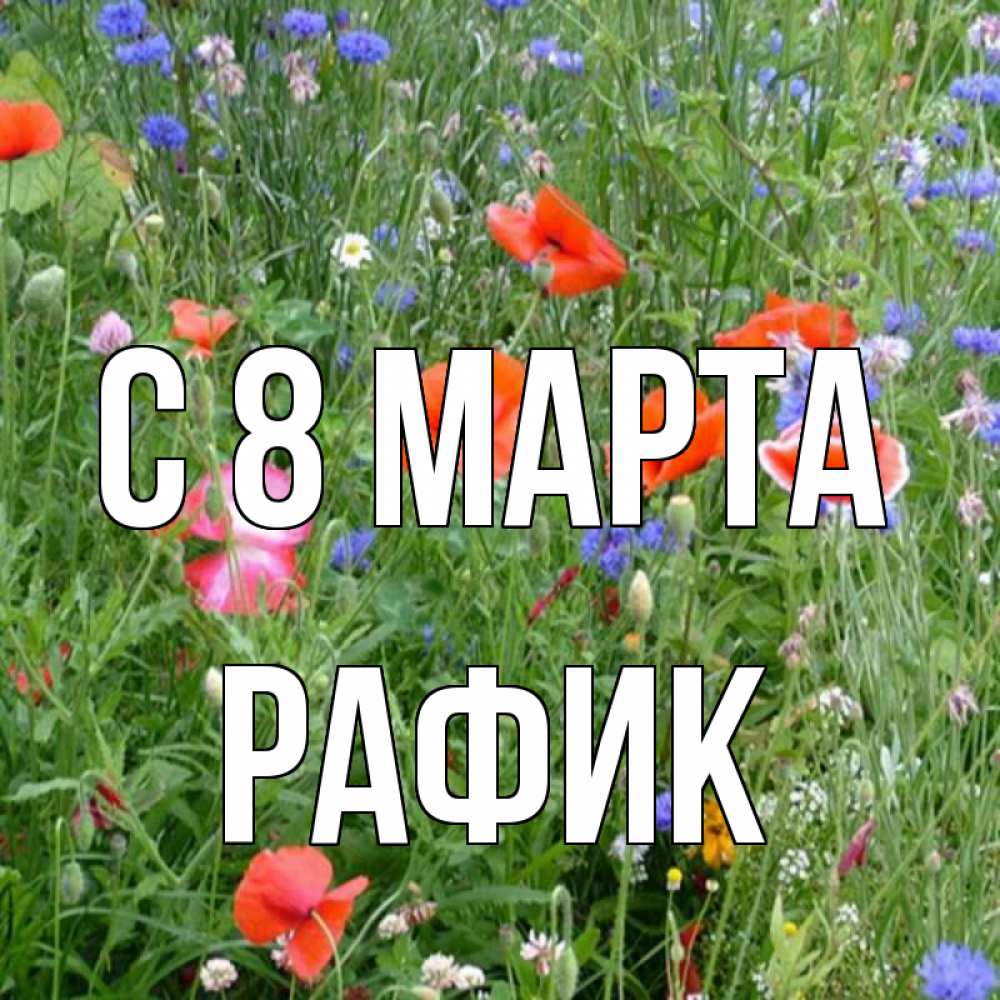 Картинка С 8 марта, Рафик
