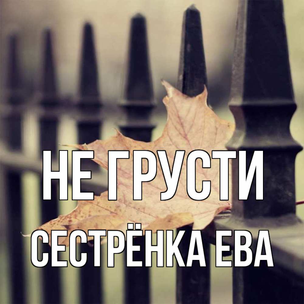 Открытка на каждый день с именем, Сестрёнка-Ева Не грусти лист клена Прикольная открытка с пожеланием онлайн скачать бесплатно 