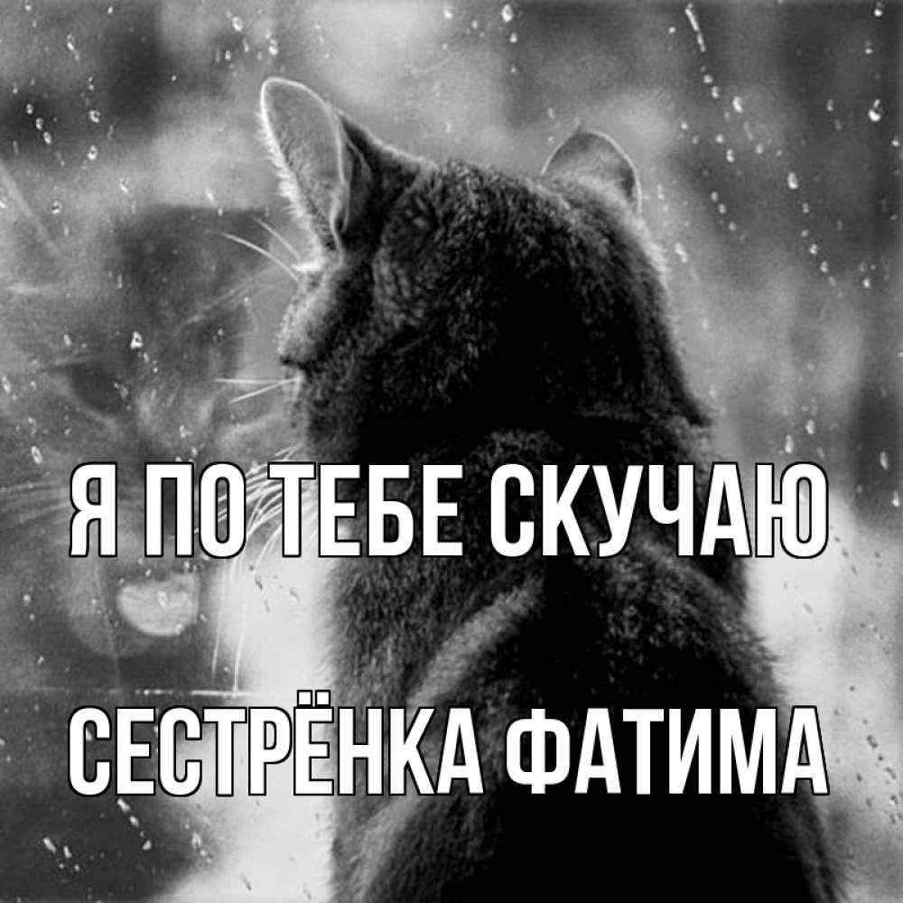 Открытка на каждый день с именем, Сестрёнка-Фатима Я по тебе скучаю скорее ко мне приходи 1 Прикольная открытка с пожеланием онлайн скачать бесплатно 