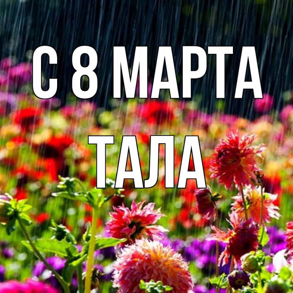 Открытка на каждый день с именем, Тала С 8 МАРТА цветы под дождиком к международному женскому дню Прикольная открытка с пожеланием онлайн скачать бесплатно 
