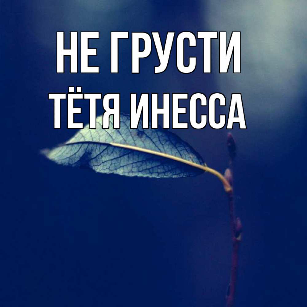 Открытка на каждый день с именем, Тётя-Инесса Не грусти растение Прикольная открытка с пожеланием онлайн скачать бесплатно 