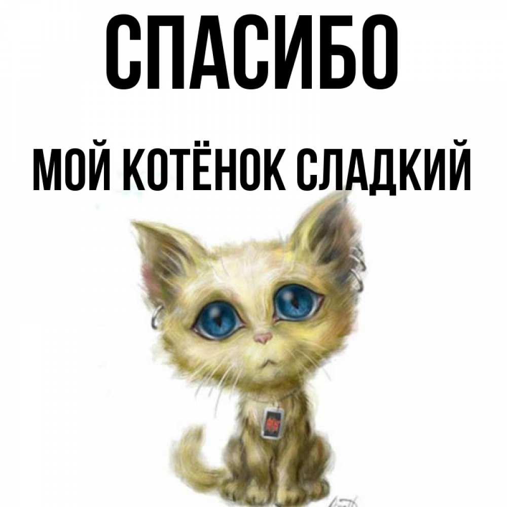 Мой сладкий котенок. Спи сладко сладко. Мой сладкий котенок. Сладкий котенок. Ты мой любимый котенок.