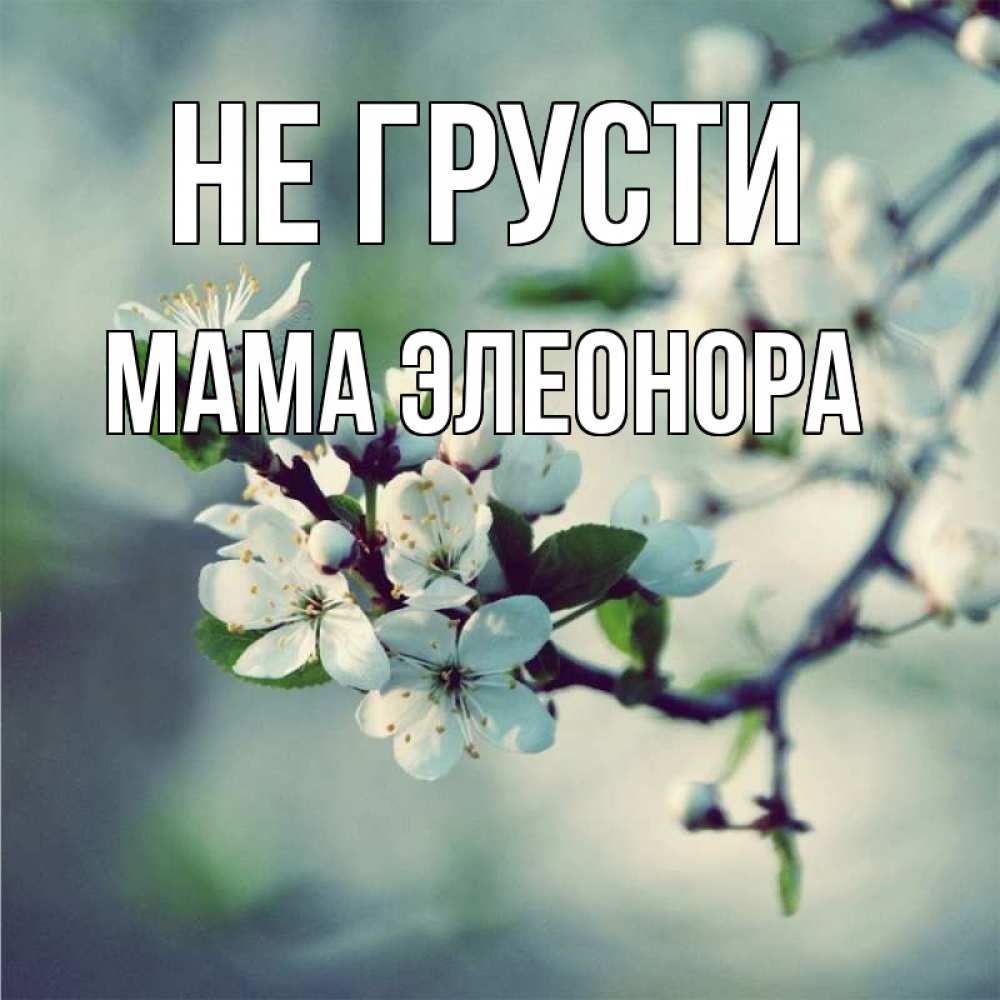 Открытка на каждый день с именем, Мама-Элеонора Не грусти яблоня в цвету 1 Прикольная открытка с пожеланием онлайн скачать бесплатно 