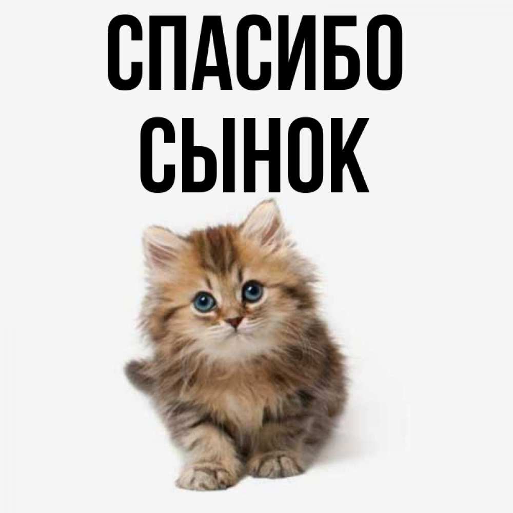 Картинки большое спасибо сынок