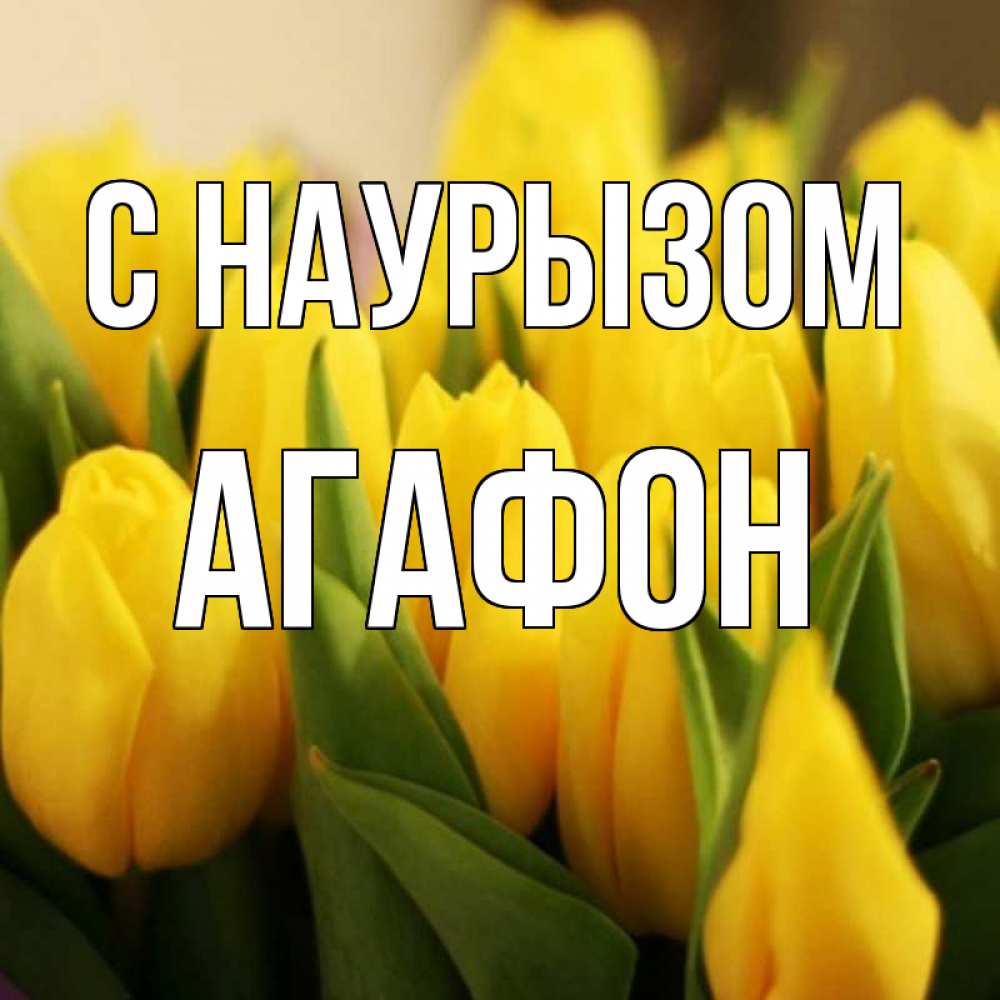 Открытка на каждый день с именем, Агафон С наурызом цветы Прикольная открытка с пожеланием онлайн скачать бесплатно 