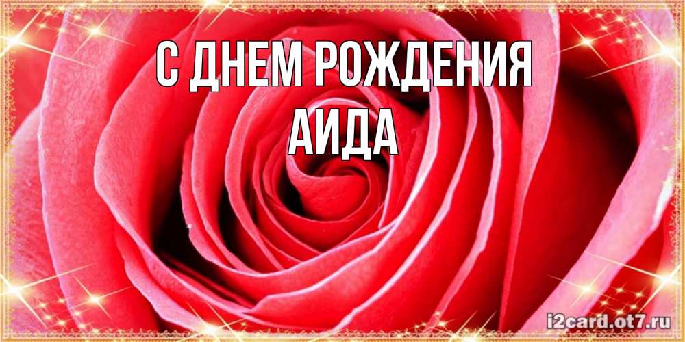 Открытка на каждый день с именем, Аида С днем рождения розовая роза очень крупный бутон Прикольная открытка с пожеланием онлайн скачать бесплатно 