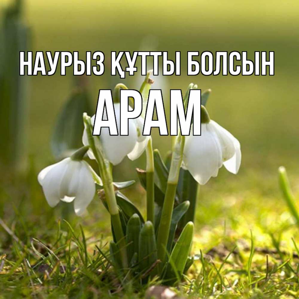 Открытка на каждый день с именем, Арам Наурыз құтты болсын ранние цветы 2 Прикольная открытка с пожеланием онлайн скачать бесплатно 