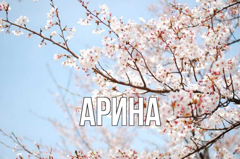Открытка на каждый день с именем, Арина Главная С 1 мая Прикольная открытка с пожеланием онлайн скачать бесплатно 