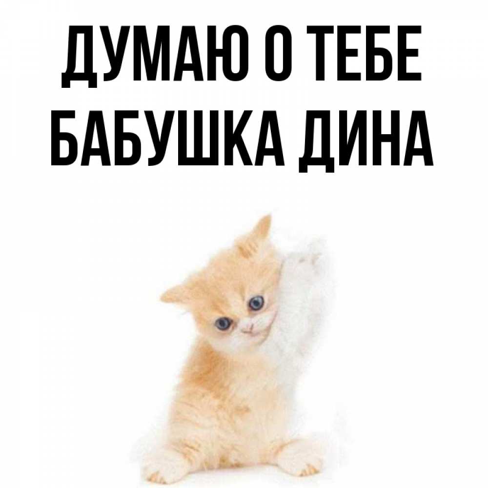 Открытка на каждый день с именем, Бабушка-Дина Думаю о тебе зверушки и милота Прикольная открытка с пожеланием онлайн скачать бесплатно 