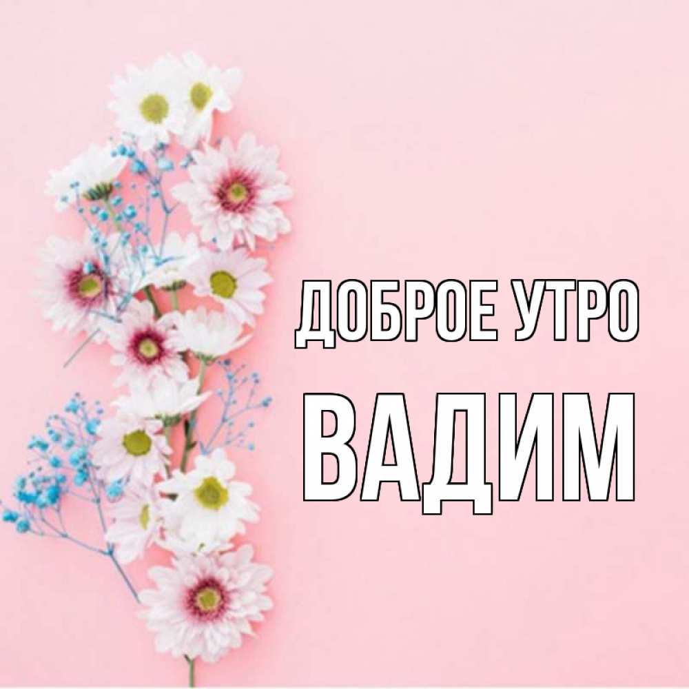 Открытка на каждый день с именем, Вадим Доброе утро цветы с подписью Прикольная открытка с пожеланием онлайн скачать бесплатно 