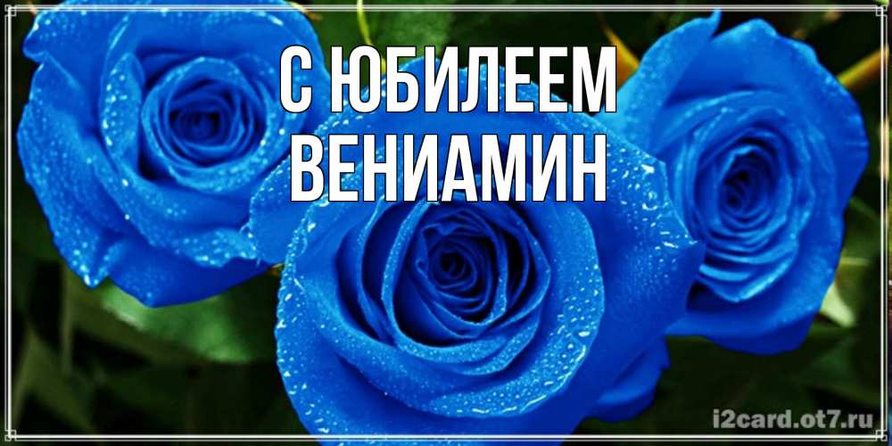 Открытка на каждый день с именем, Вениамин С юбилеем розы с синим цветом Прикольная открытка с пожеланием онлайн скачать бесплатно 