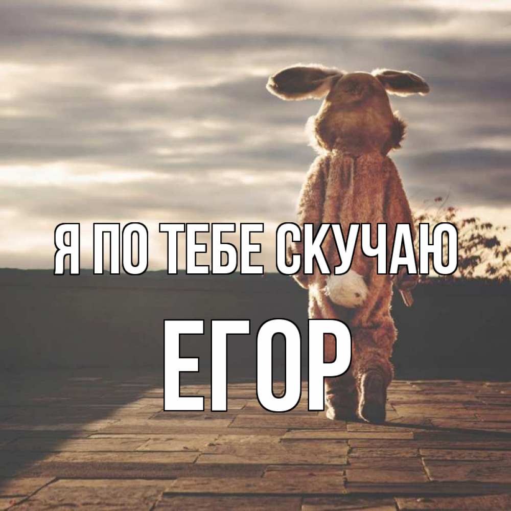 Открытка на каждый день с именем, Егор Я по тебе скучаю даже в костюме зайца Прикольная открытка с пожеланием онлайн скачать бесплатно 