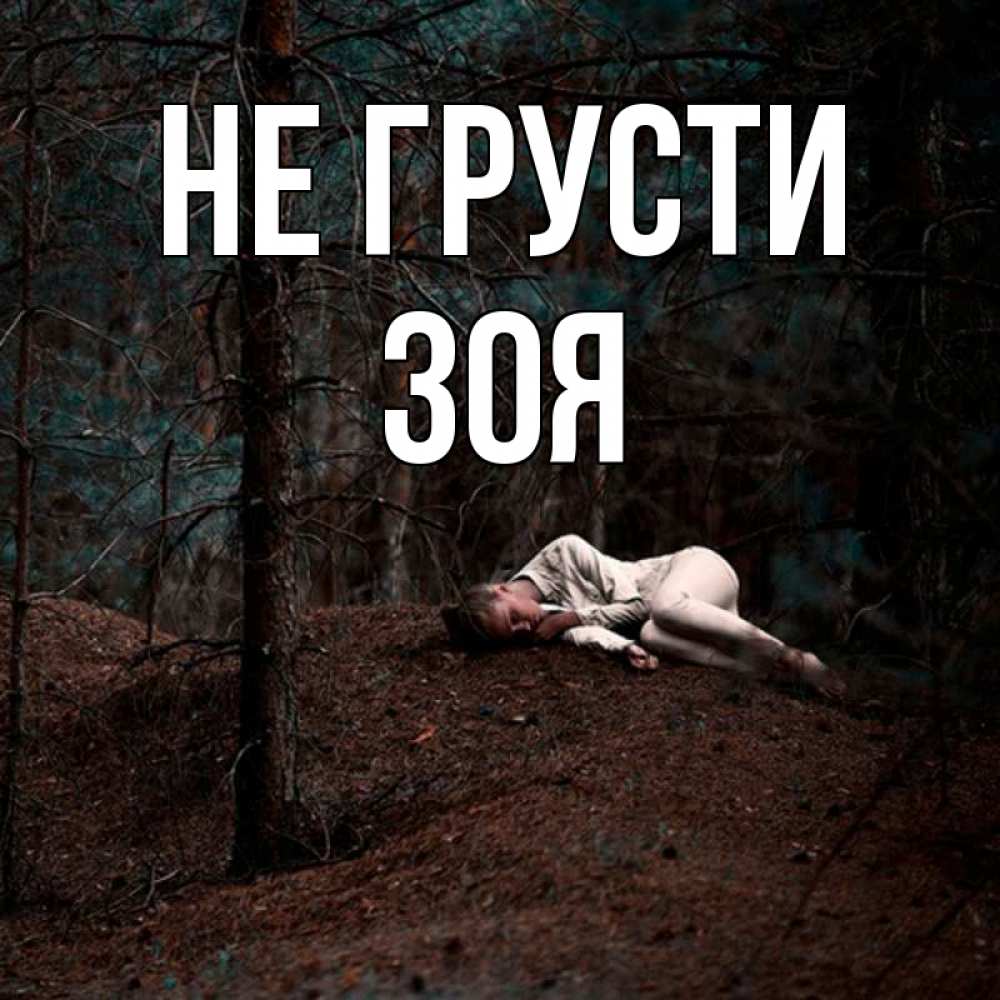 Открытка на каждый день с именем, Зоя Не грусти лес Прикольная открытка с пожеланием онлайн скачать бесплатно 