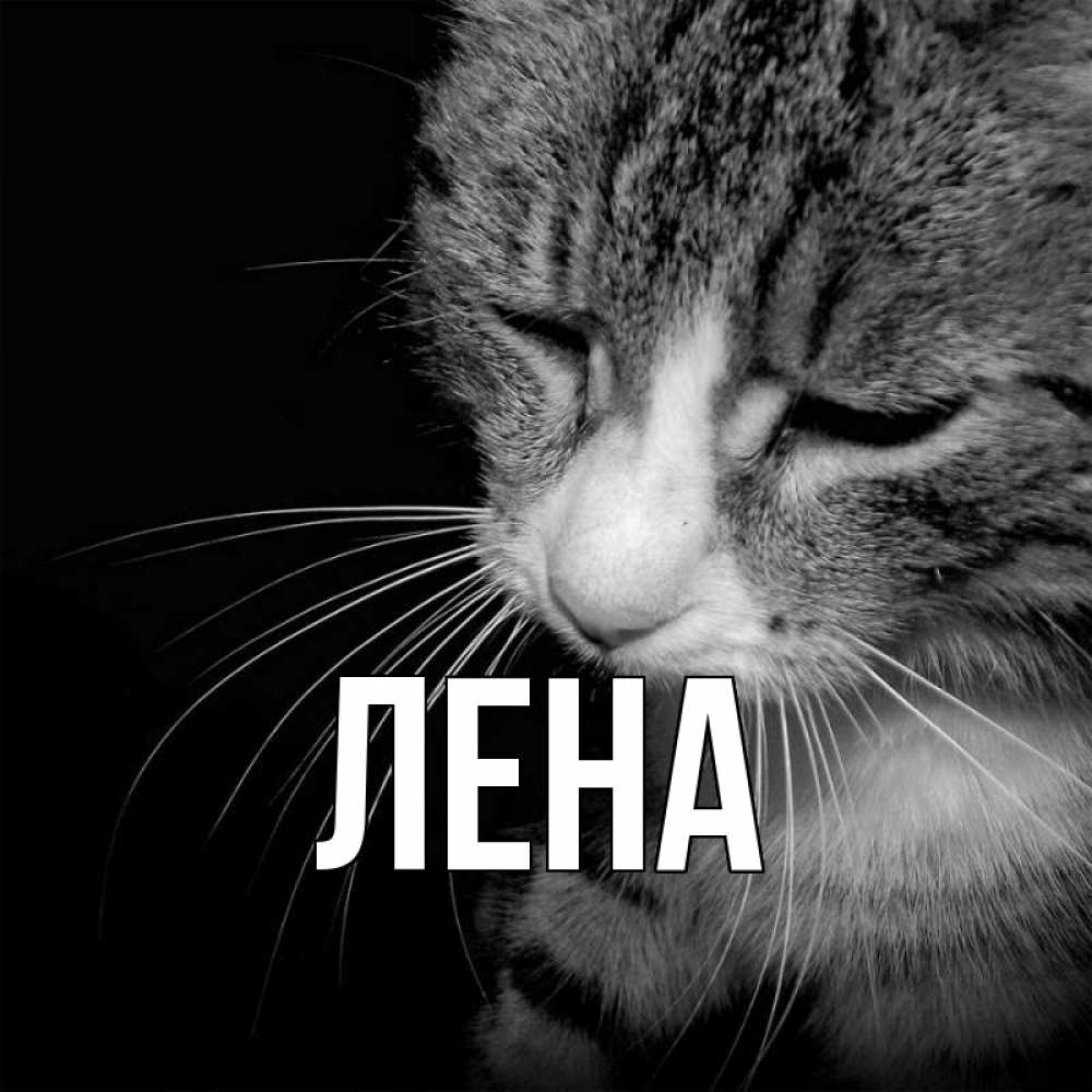 Открытка на каждый день с именем, Лена Главная мне скучно Прикольная открытка с пожеланием онлайн скачать бесплатно 