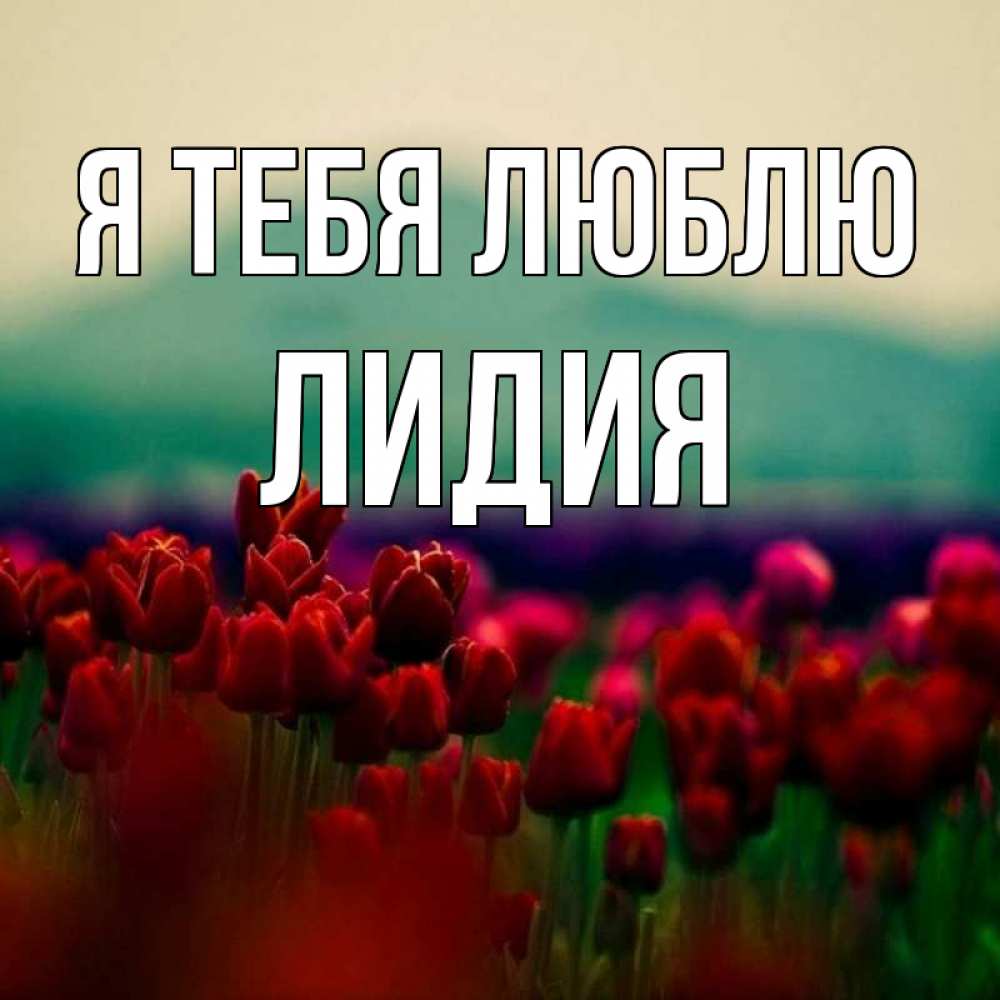 Открытка на каждый день с именем, Лидия Я тебя люблю тюльпаны 4 Прикольная открытка с пожеланием онлайн скачать бесплатно 